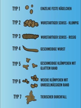 » Was Du über Die 7 Stuhlgang Formen Wissen Solltest